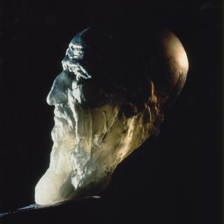 Portrait of Leonardo DaVinci